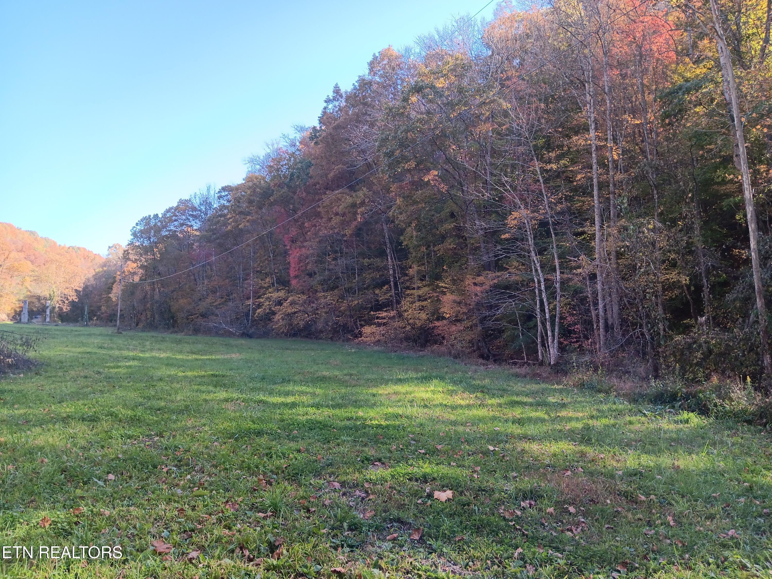 Image 3: 20241024_155948