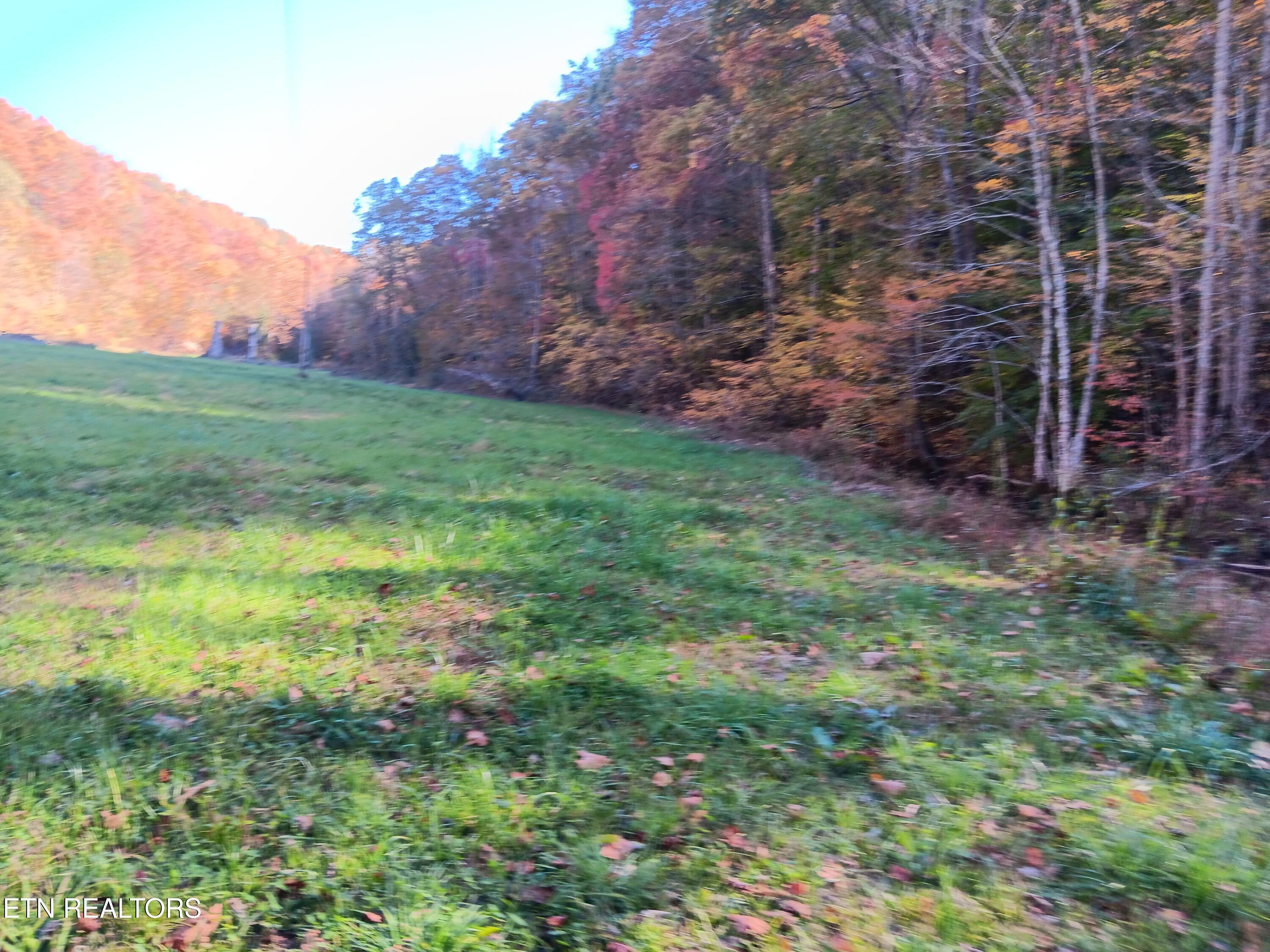 Image 4: 20241024_160021