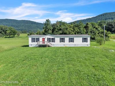 233 Orange Lane