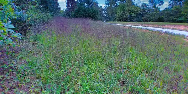Image 2: Clearwater View Lot Photos