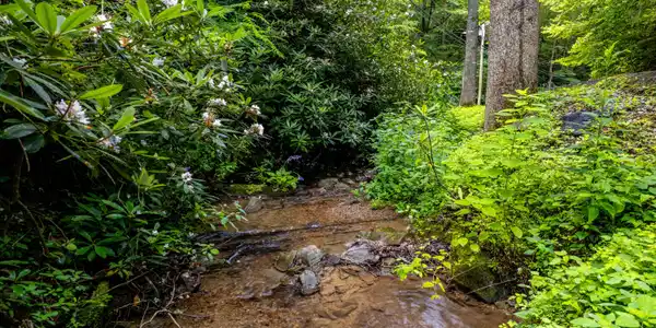 Butler Branch Rd