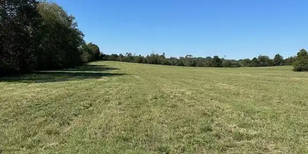 Image 3: 03