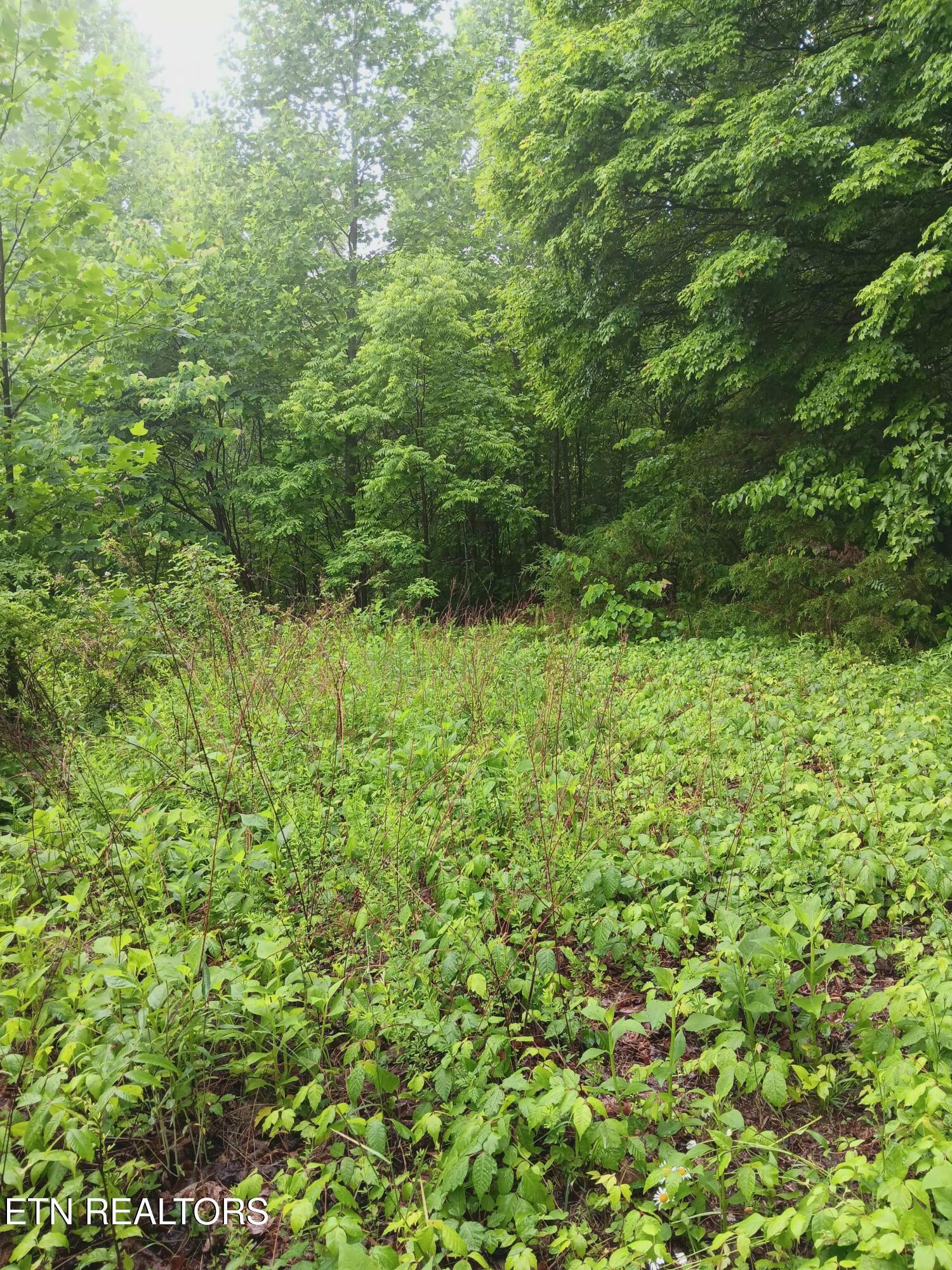 Image 4: 20260522_110453