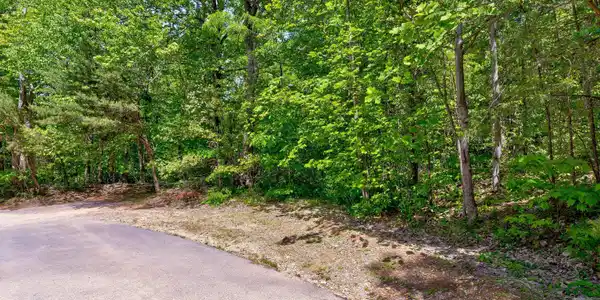 Image 4: 17-Battle Top Rd-18