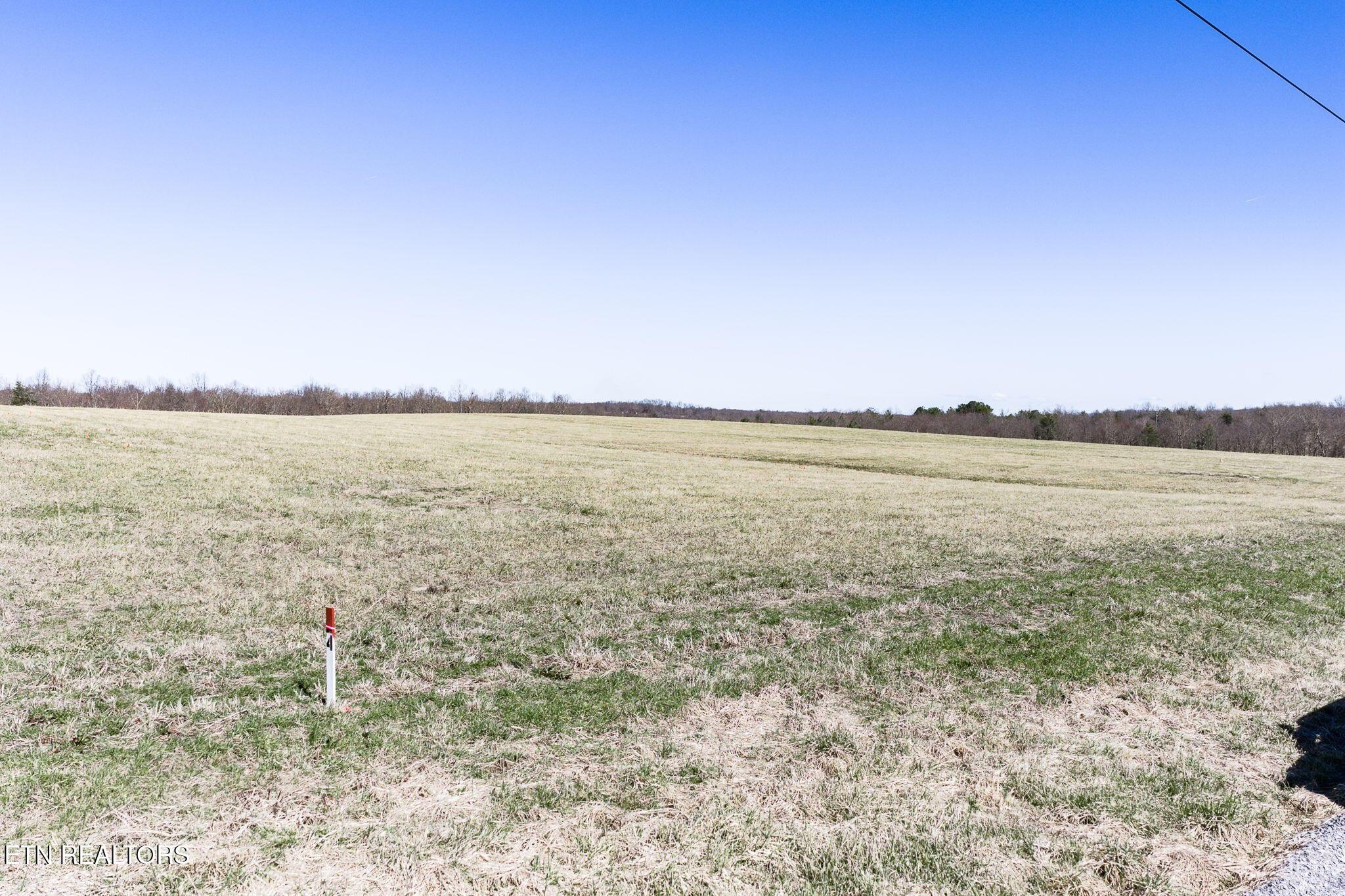 Image 3: Lot 5