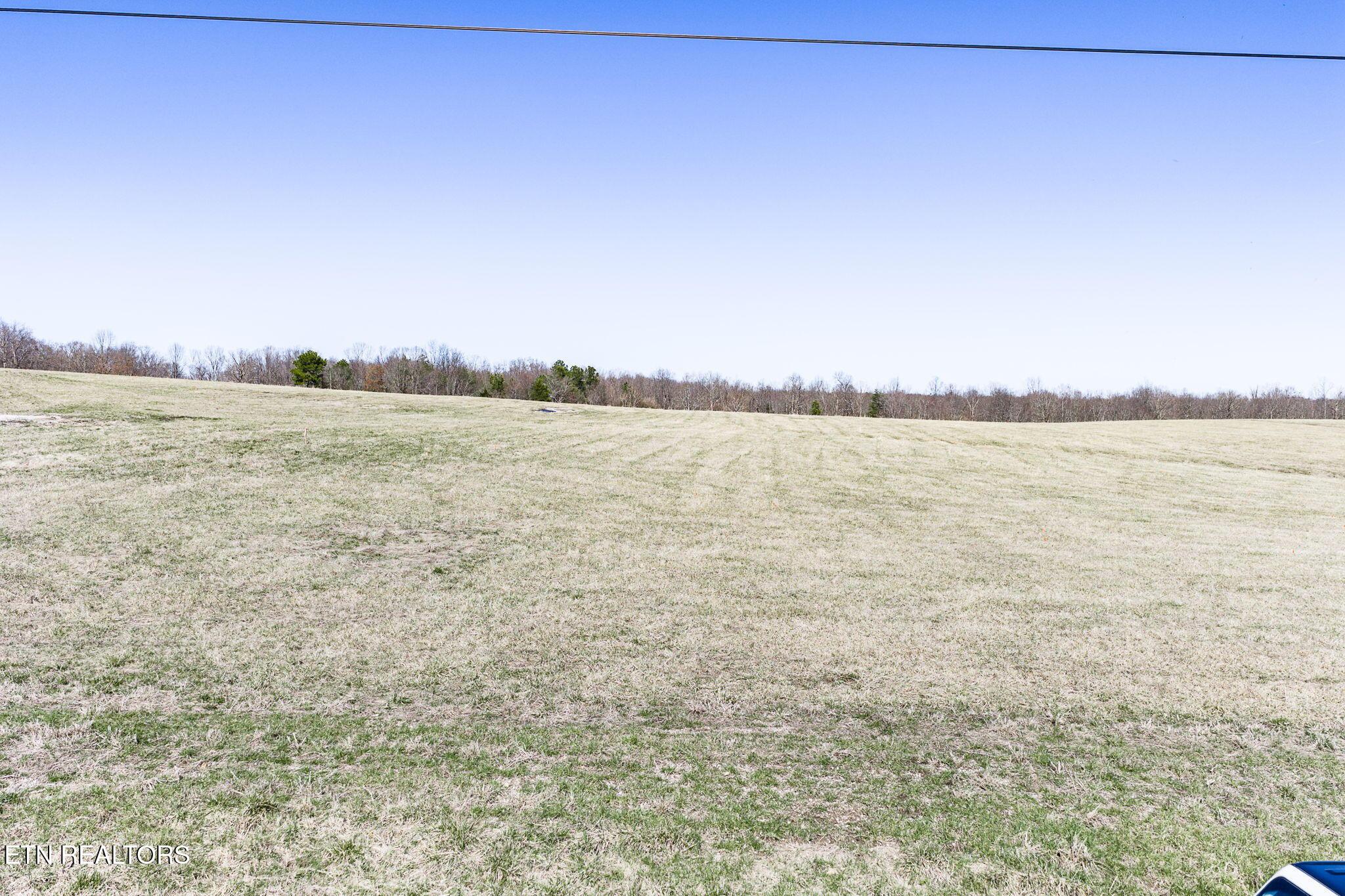 Image 4: Lot 5