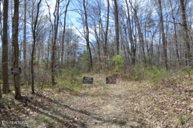 Image 2: CABLE GOING INTO THE PROPERTY ACCESS