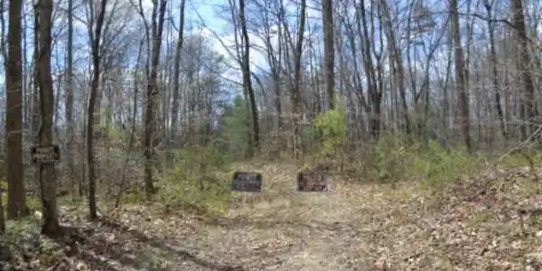Image 2: CABLE GOING INTO THE PROPERTY ACCESS