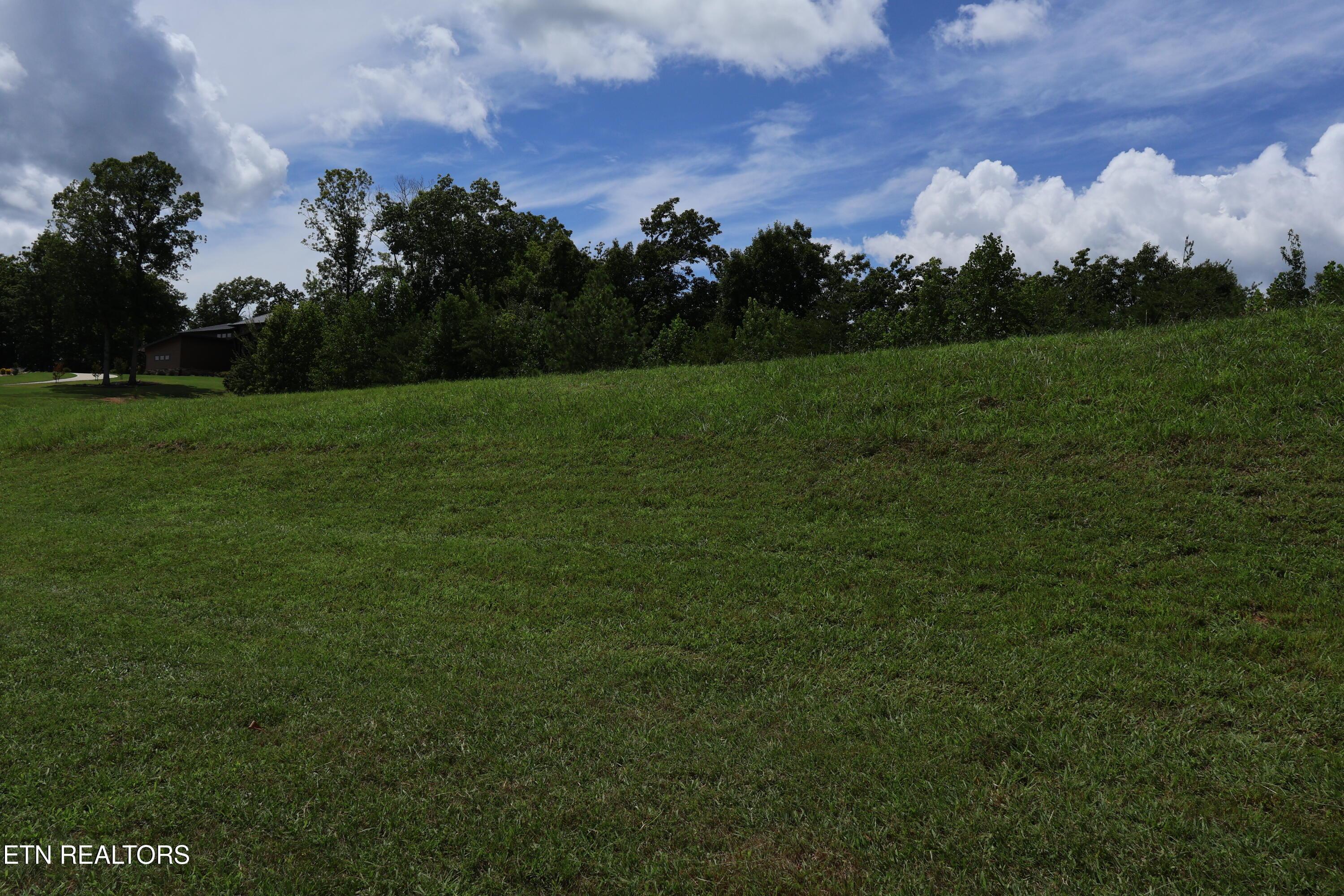 Image 3: IMG_0250
