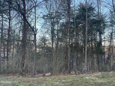 lot 14 Hiwassee Drive