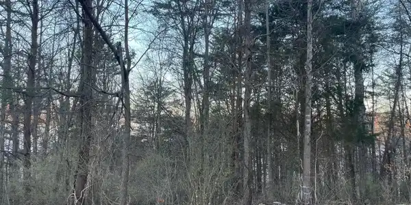 lot 14 Hiwassee Drive