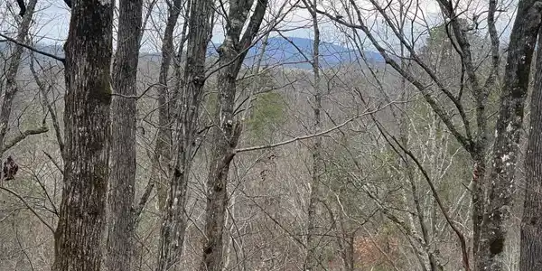 Lot 99 Dolly South Drive