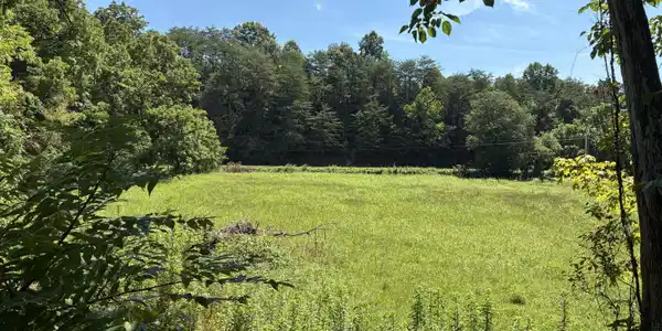 Image 2: view from yard to road