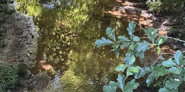 Image 3: creek is year round