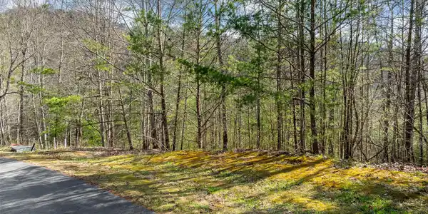 Image 2: black powder court lot-1