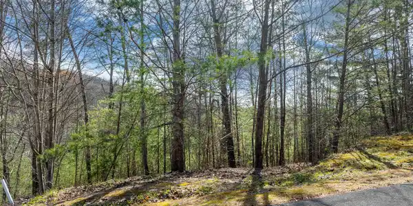 Image 3: black powder court lot-2