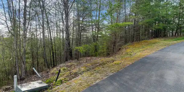 Image 4: black powder court lot-3