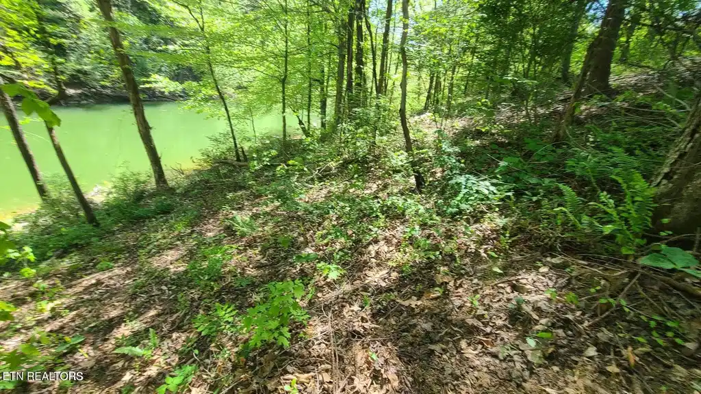 Image 1: IMG_0042
