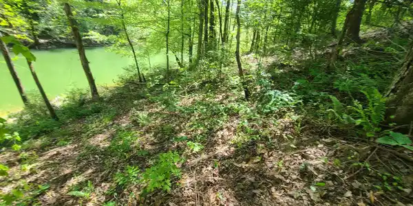 Lot 117A Claiborne Rd