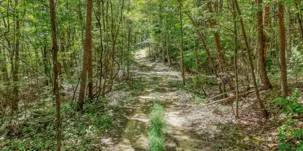 Image 3: DJI_20260825134339_0308_D-2