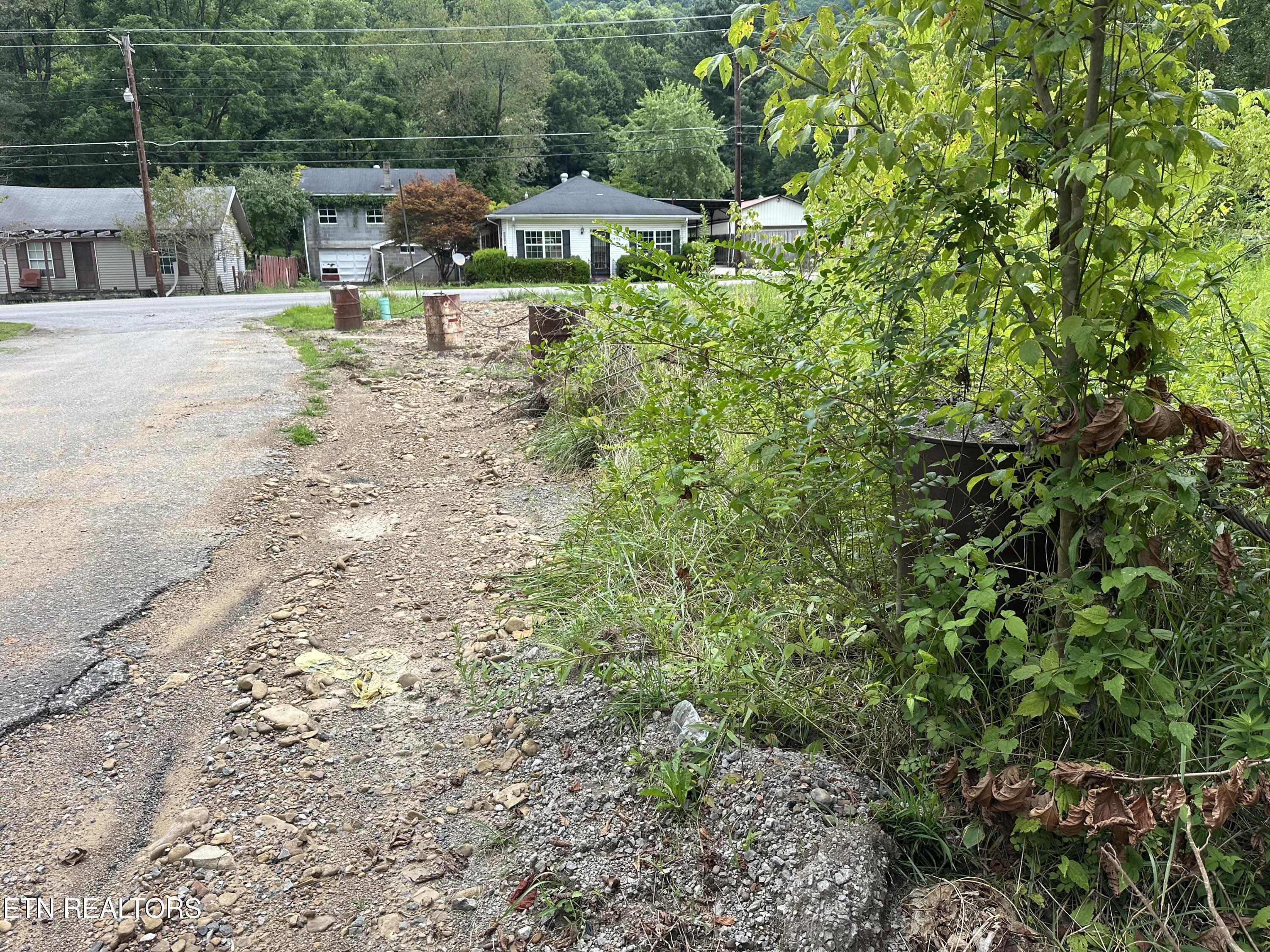 Image 2: IMG_0397