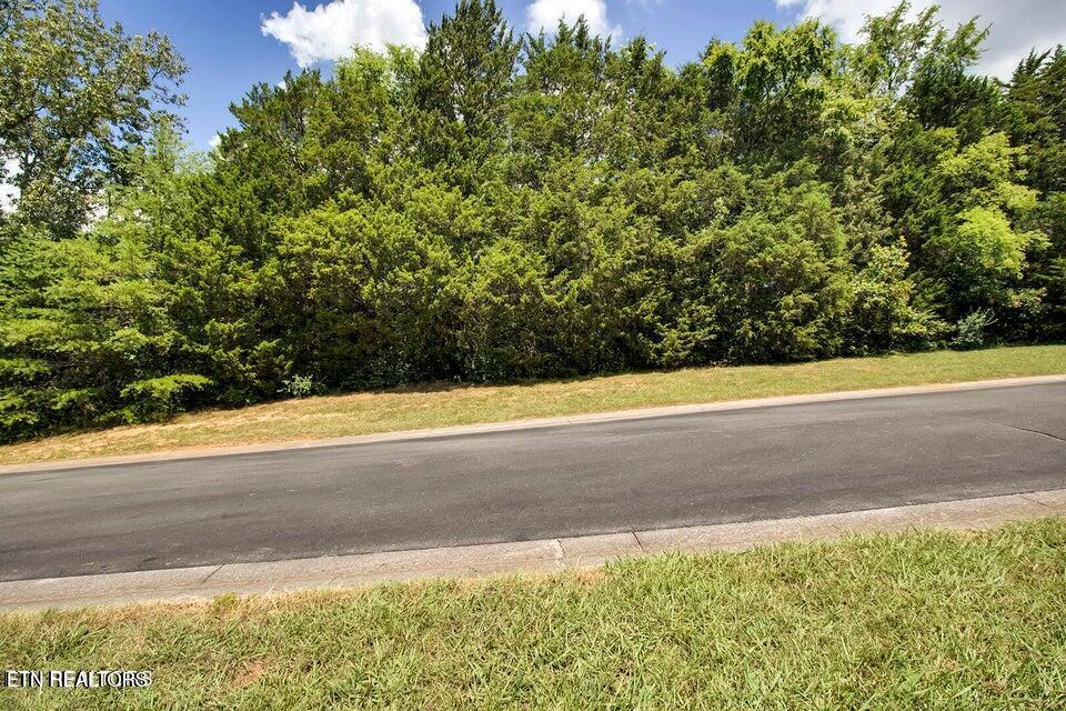 Image 2: 2