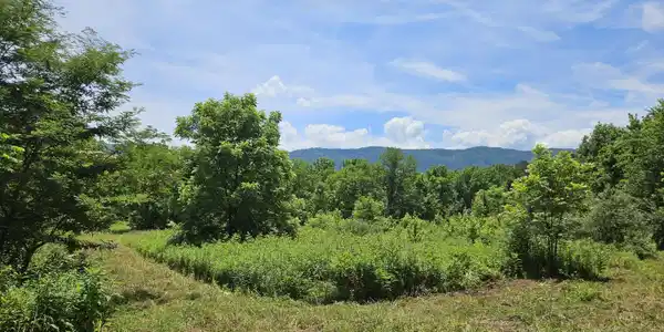 SIX MILE RD