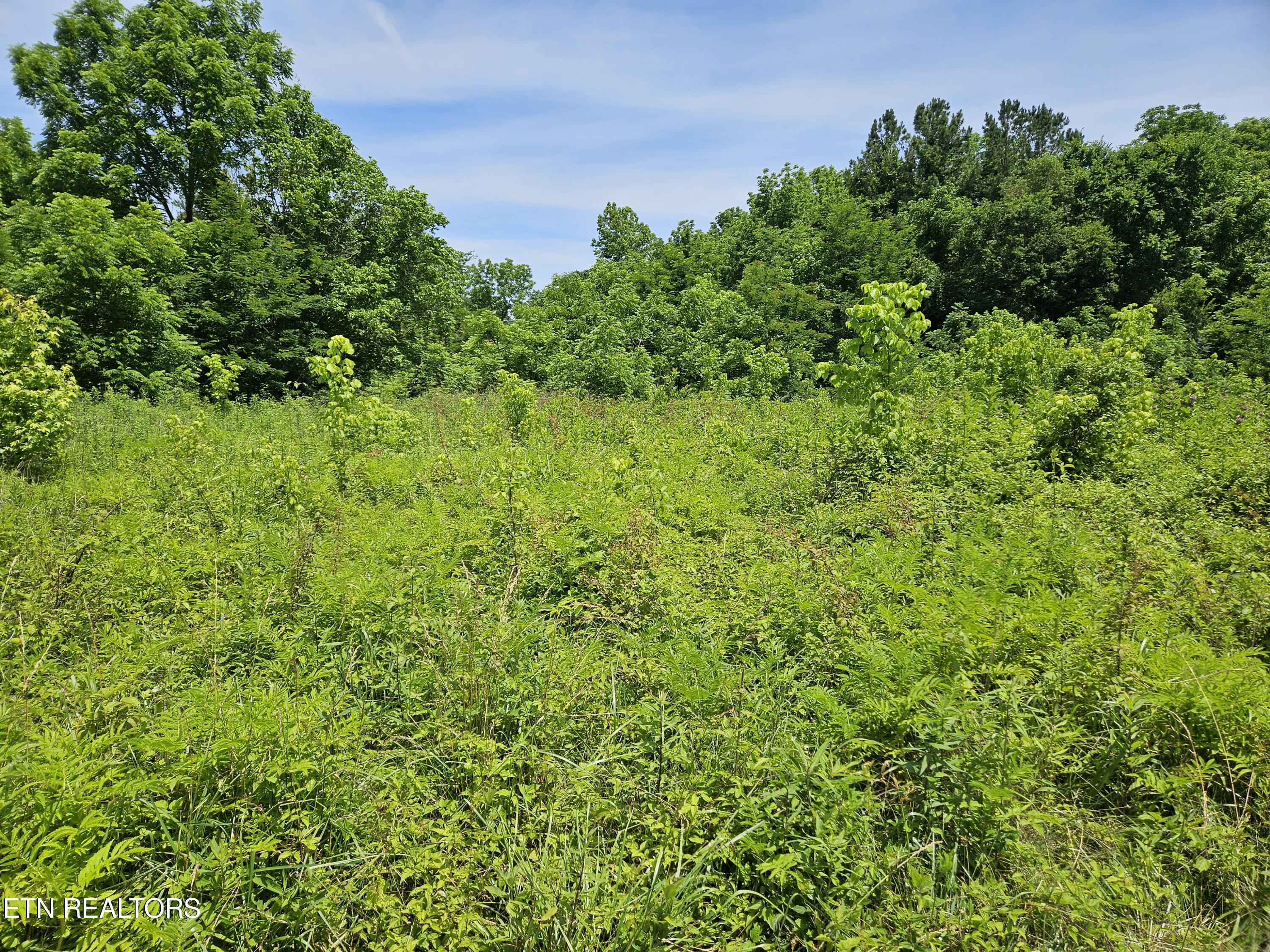 Image 3: 20240612_123940