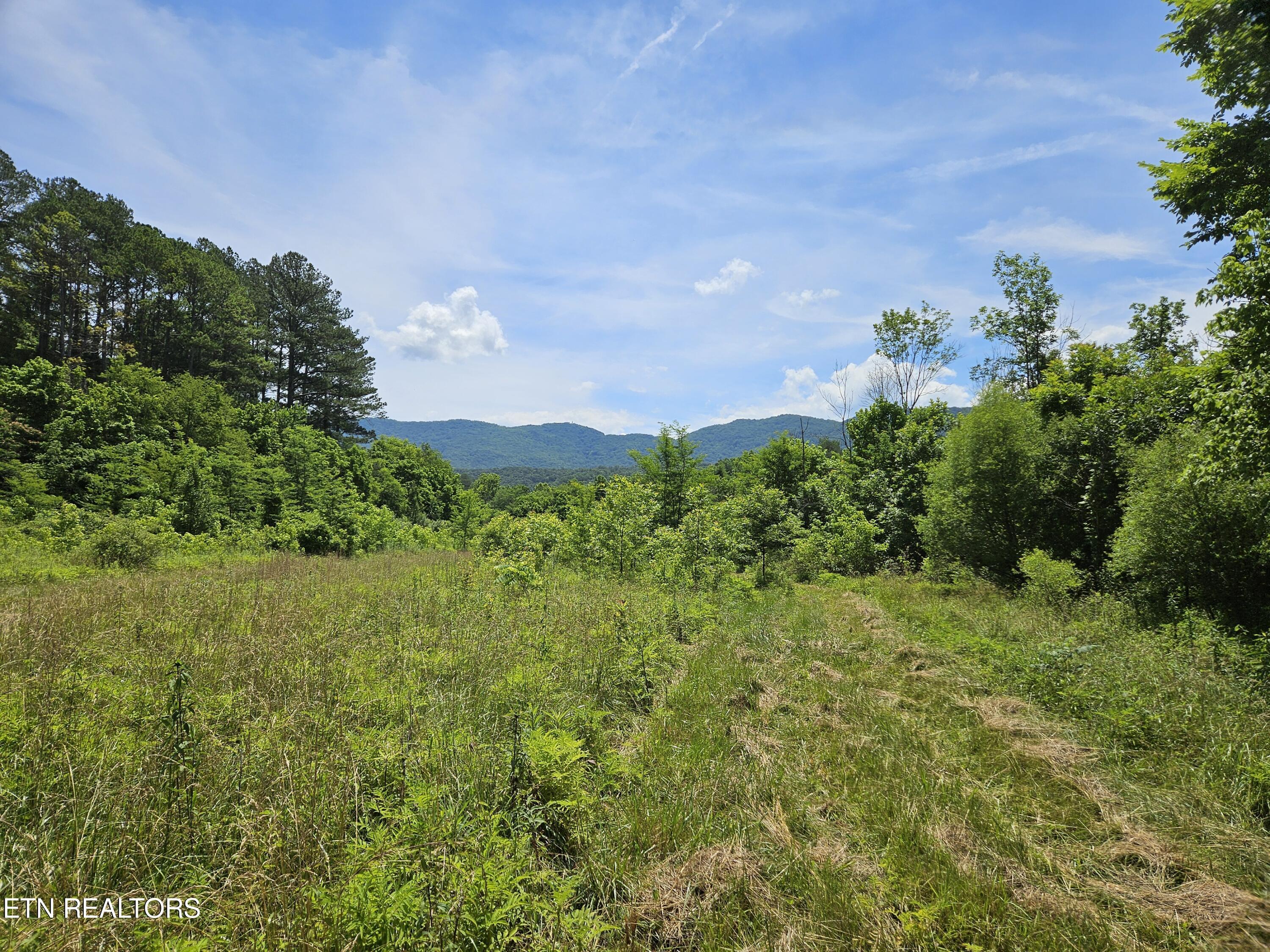 Image 4: 20240612_123958