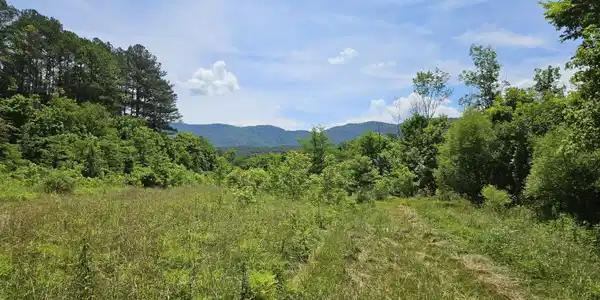 Image 4: 20240612_123958