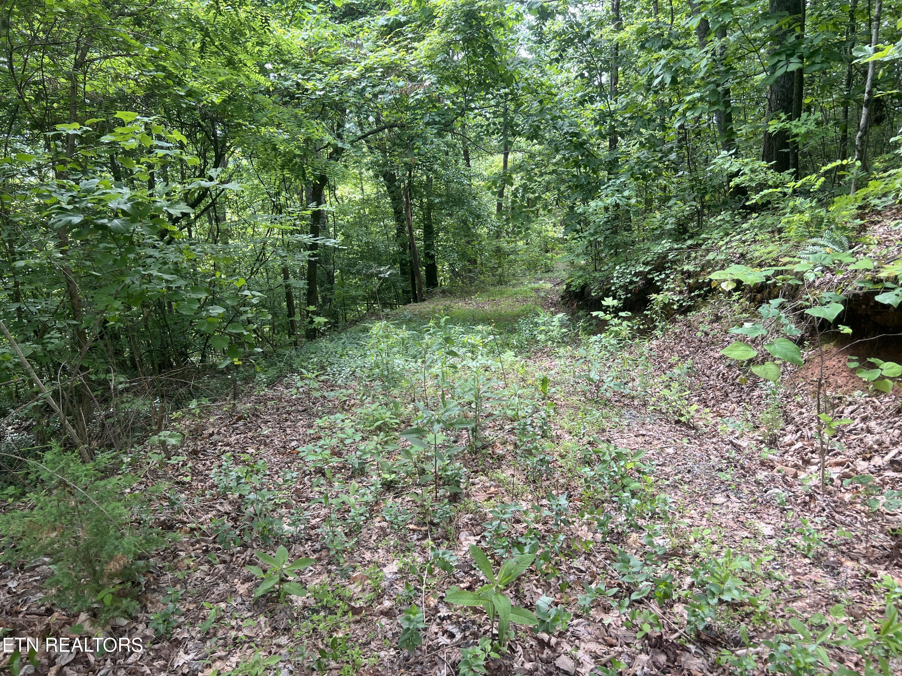Image 4: IMG_1056