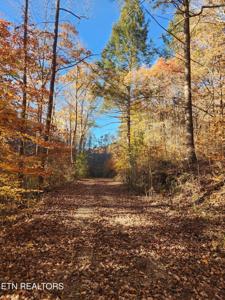 Terry Creek Lane