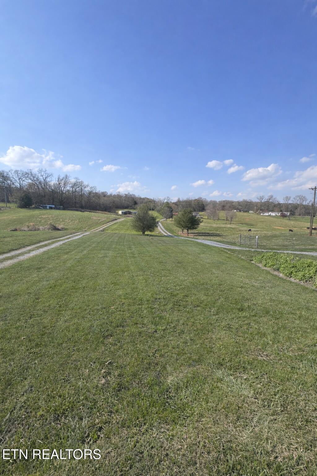 Image 2: 9C4BD984-2185-4245-915E-90FAEAEB2350