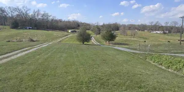 Image 2: 9C4BD984-2185-4245-915E-90FAEAEB2350