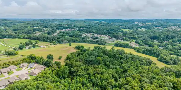 Image 3: 7-web-or-mls-8150-pelleaux-rd