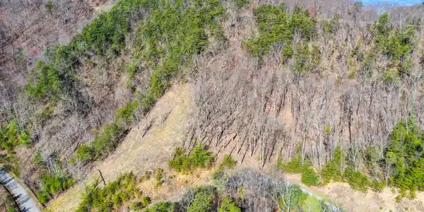 Image 3: Backs Up To Park Land