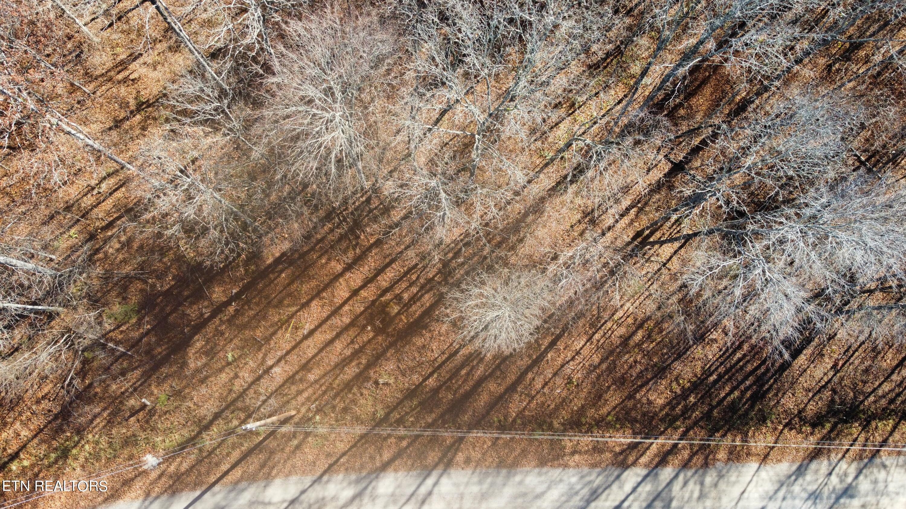 Image 2: 673D9154-E892-48C8-8F23-70851C39F0E0