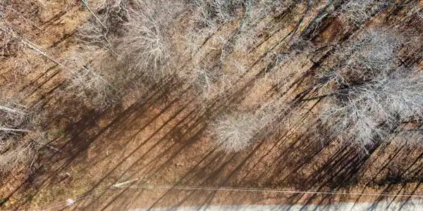 Image 2: 673D9154-E892-48C8-8F23-70851C39F0E0