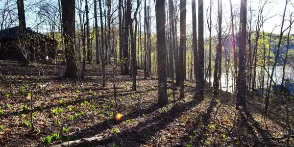 lot 21 Deer Run Point