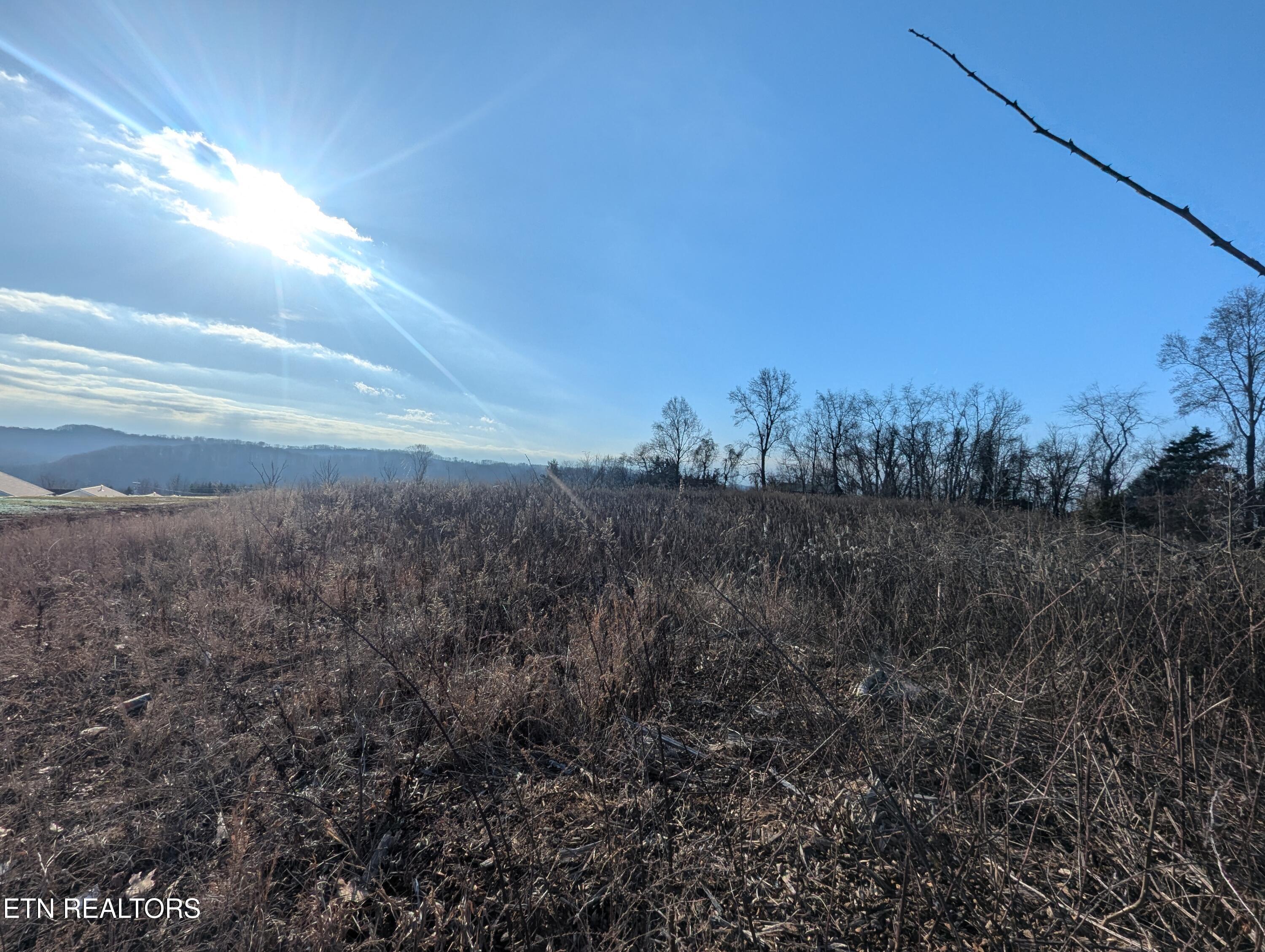 Image 4: PXL_20250204_143445148