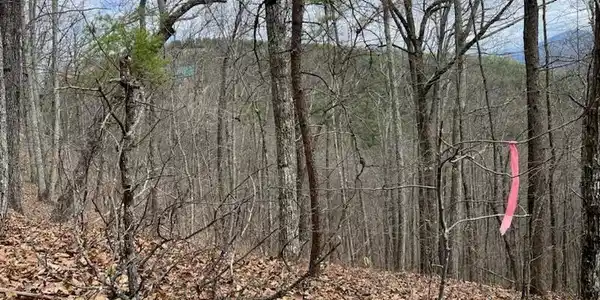 Image 3: 20250325174054503891000000-o