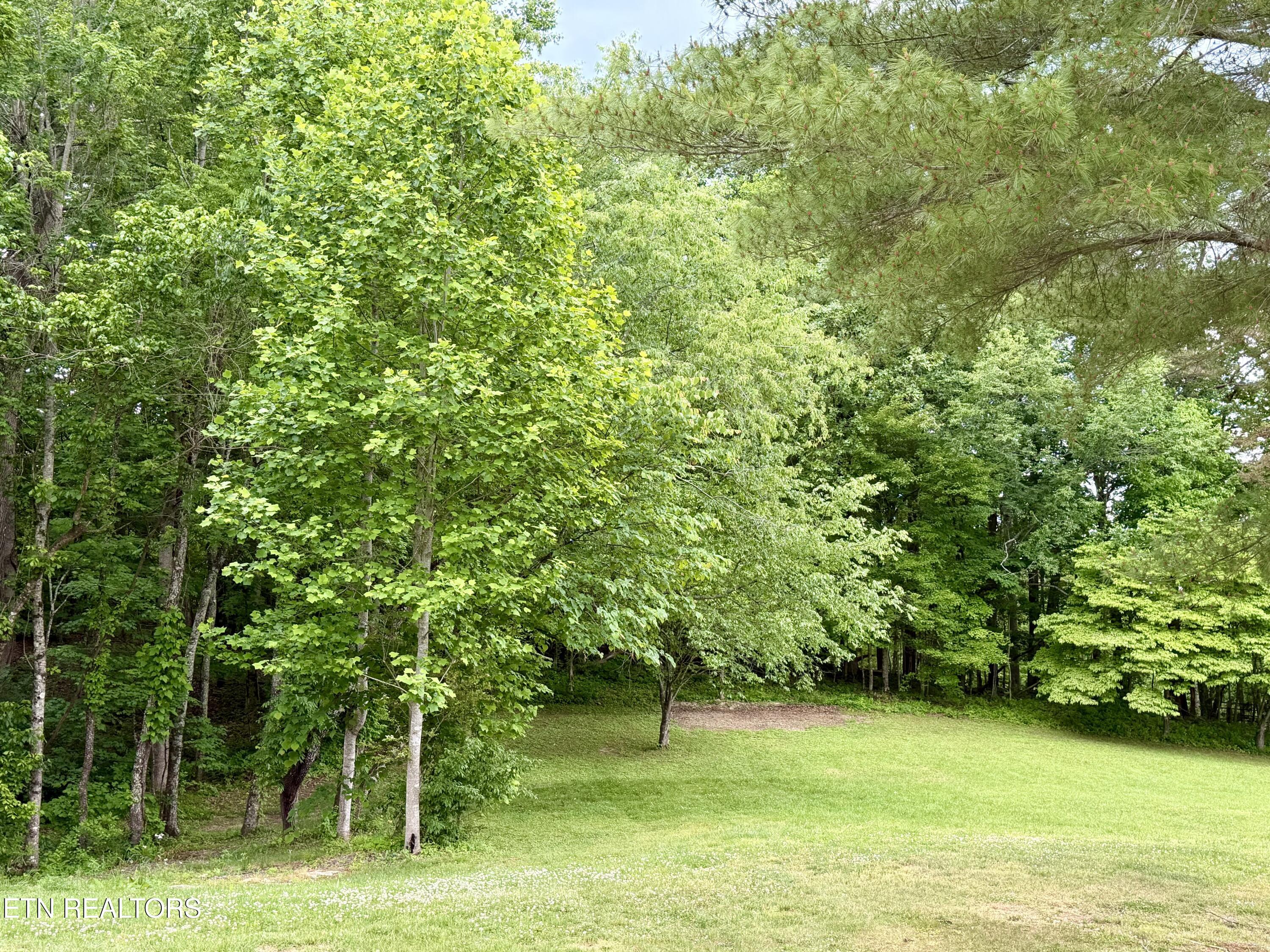 Image 4: IMG_1405