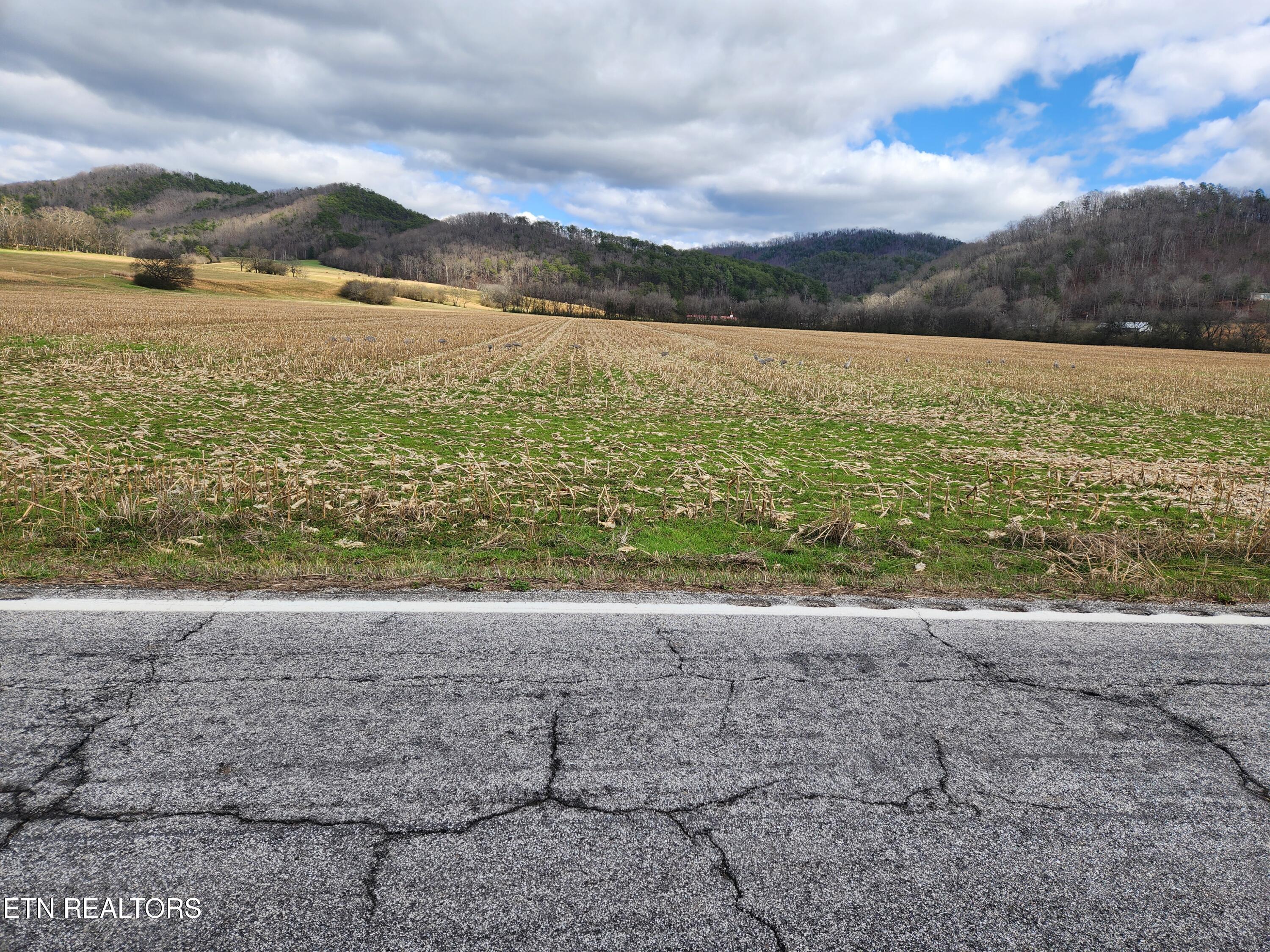 Image 3: From 39E