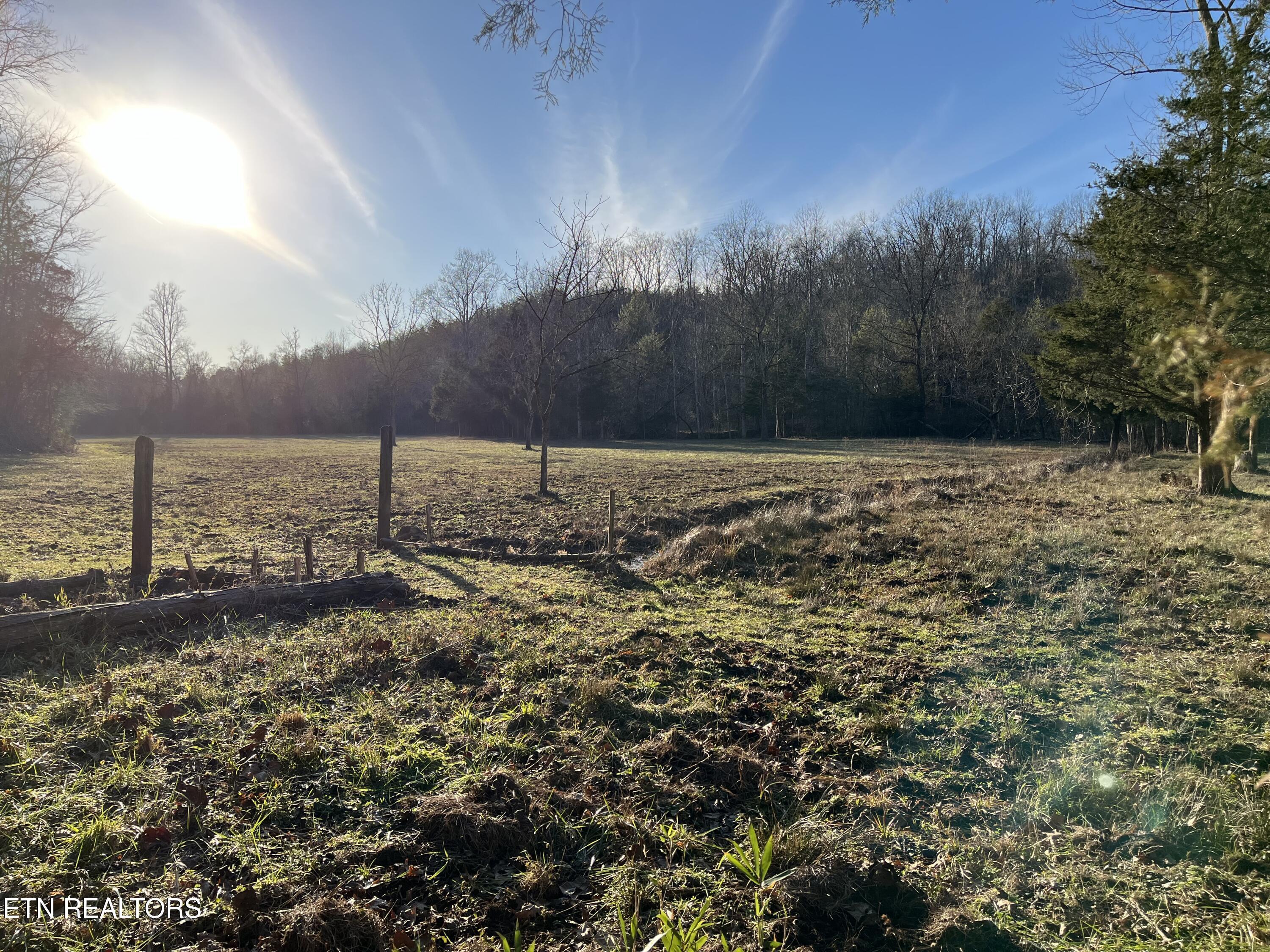 Image 4: Valley view