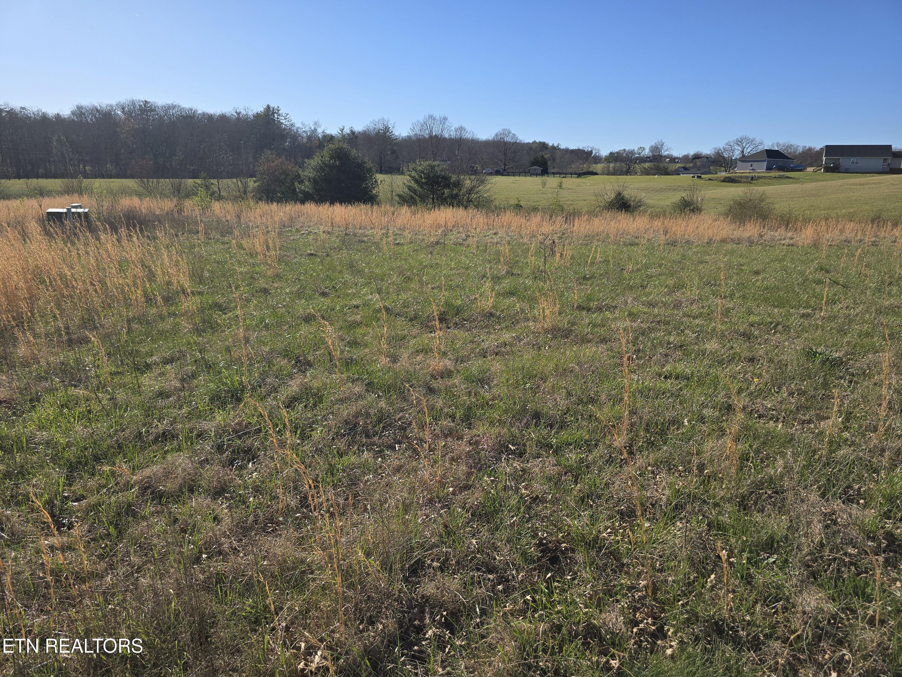 Image 4: LEVEL LOT