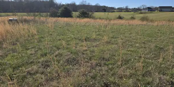 Image 4: LEVEL LOT