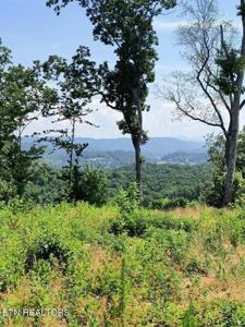 Ashe Cabin Hollow Rd