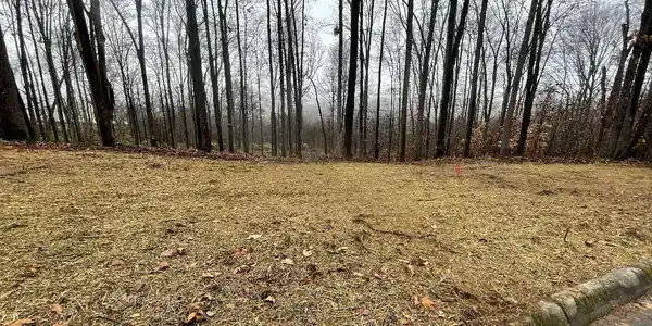 00 Lot 10 Poplar Drive