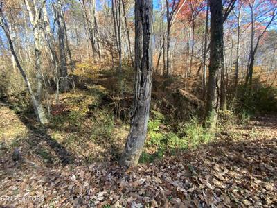 Mountain Side Lane