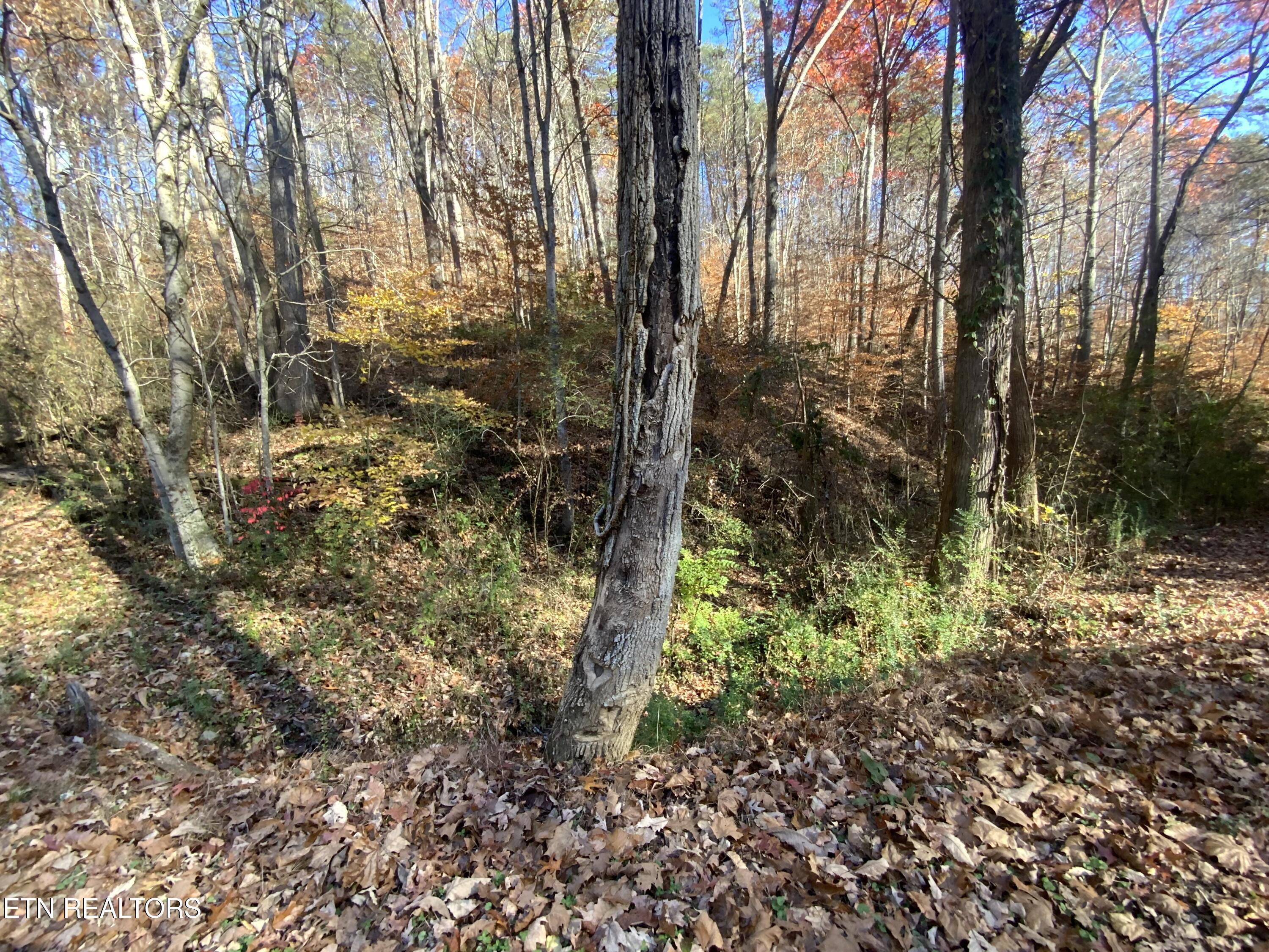 Image 1: IMG_8868